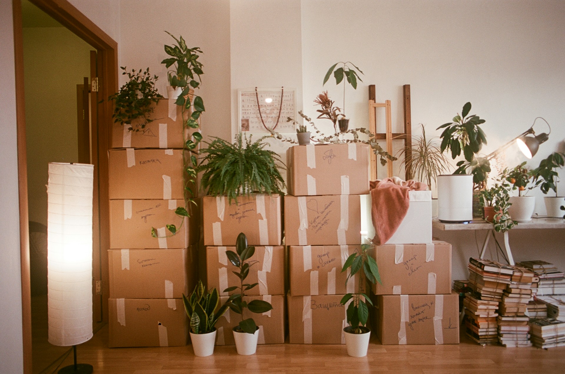 Rallee support coordination for moving day — meals, errands, and helping hands
